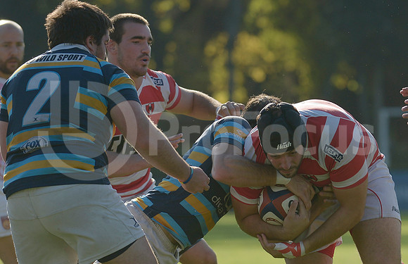 TORNEO URBA 2015