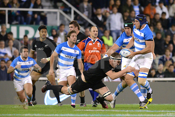 Rugby Championship 2016