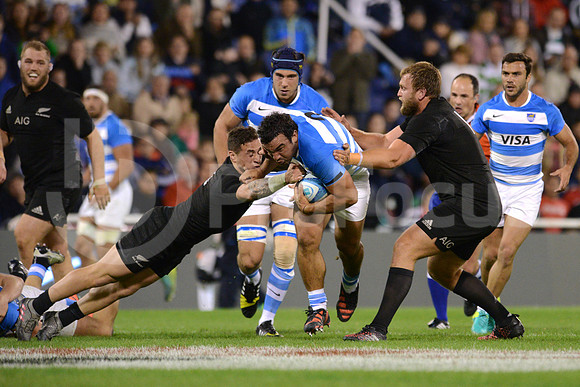 Rugby Championship 2016
