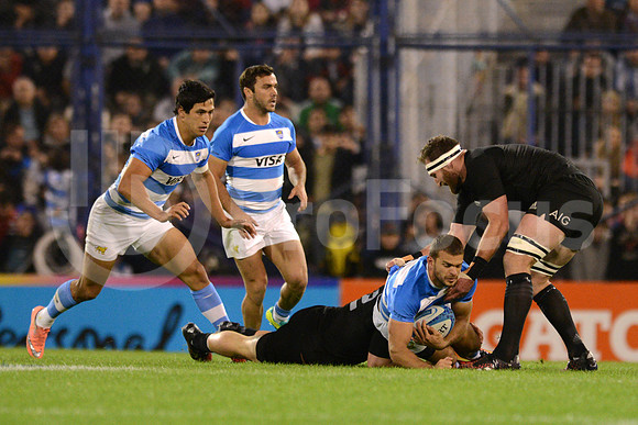 Rugby Championship 2016