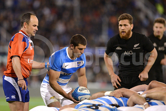 Rugby Championship 2016