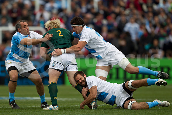 RUGBYCHAMPIONSHIP2012_126