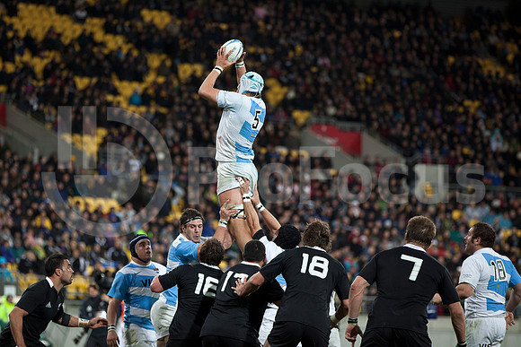 RUGBYCHAMPIONSHIP2012_202