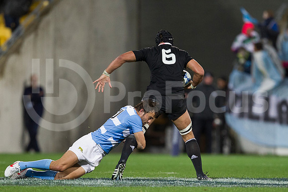 RUGBYCHAMPIONSHIP2012_183