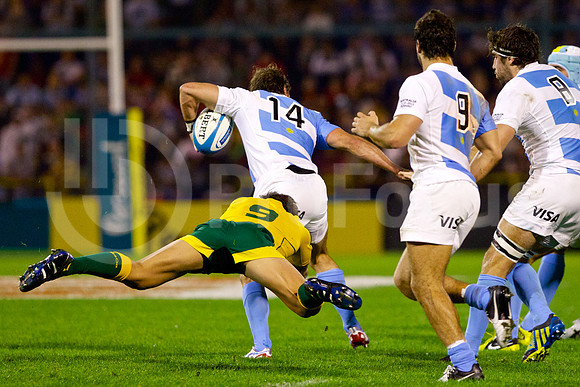 RUGBYCHAMPIONSHIP2012_312