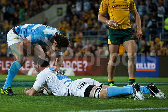 RUGBYCHAMPIONSHIP2012_242