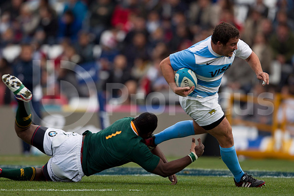 RUGBYCHAMPIONSHIP2012_130