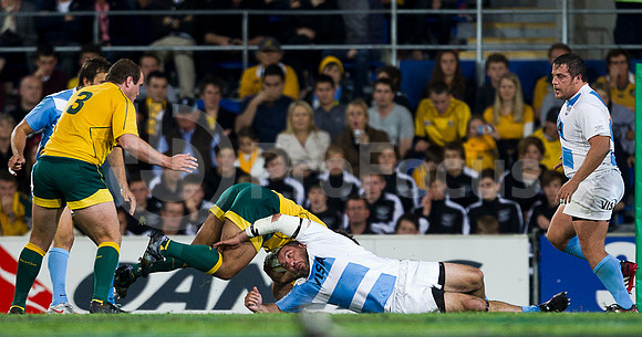 RUGBYCHAMPIONSHIP2012_235