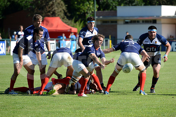 Campeonato Argentino de rugby 2013