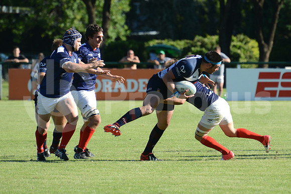Campeonato Argentino de rugby 2013