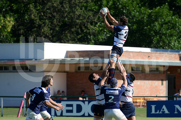 Campeonato Argentino de rugby 2013