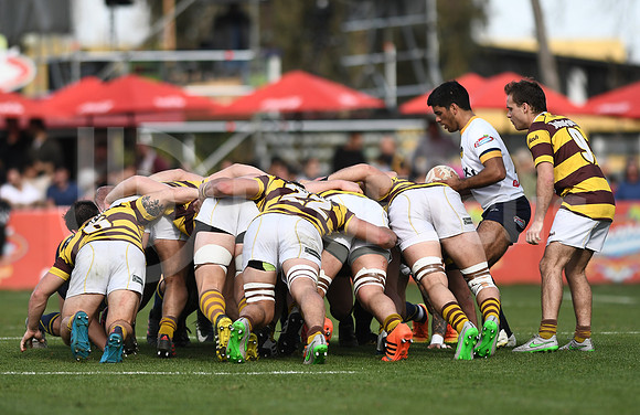 URBA TOP 12