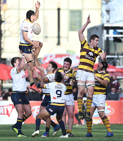 URBA TOP 12