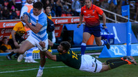 PUMAS-SUDAFRICA 25-08-2018
