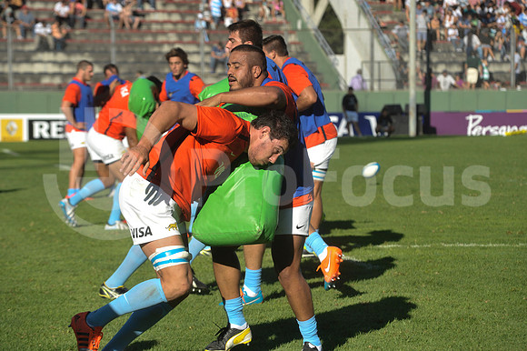 PUMAS EN SALTA