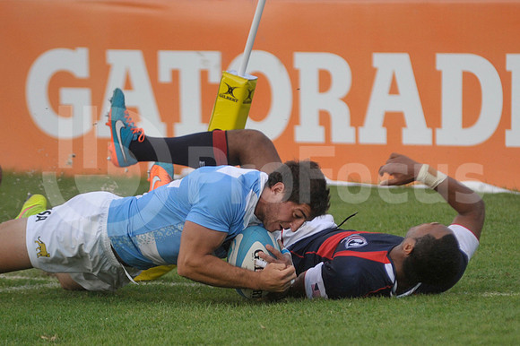 PUMAS EN SALTA
