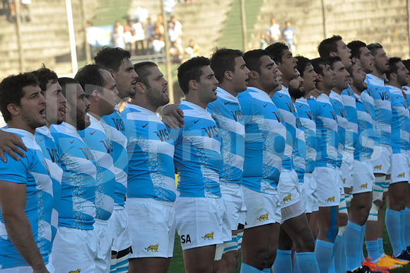 PUMAS EN SALTA