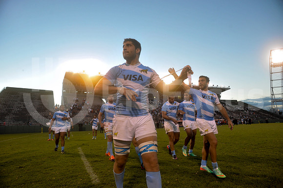 PUMAS EN SALTA