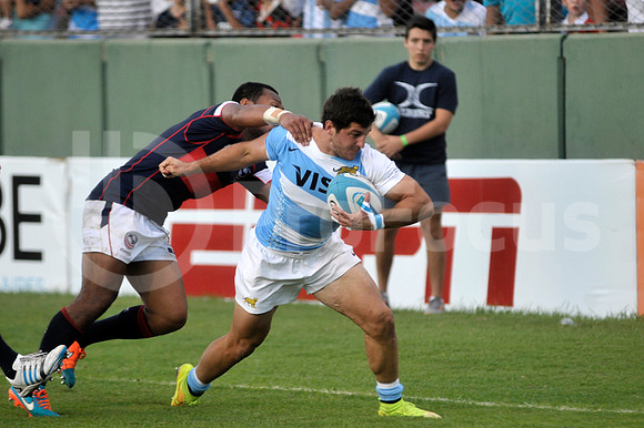 PUMAS EN SALTA