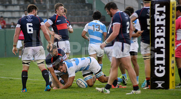 PUMAS EN SALTA