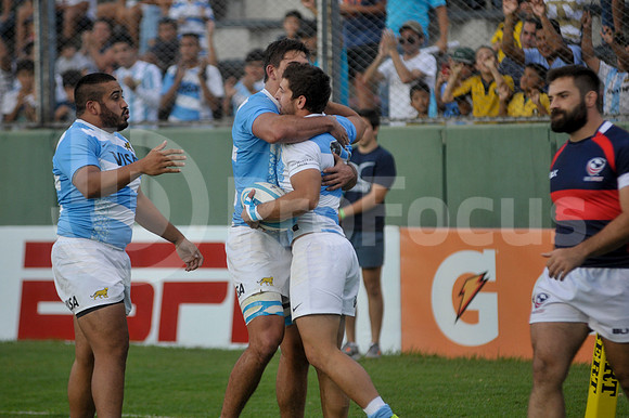 PUMAS EN SALTA