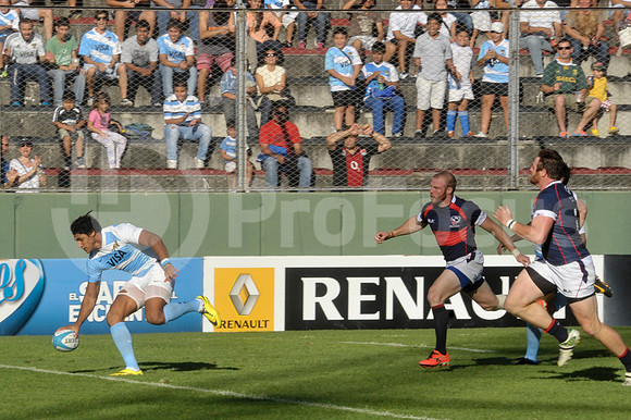 PUMAS EN SALTA