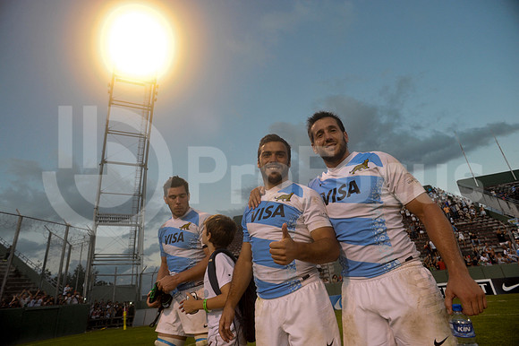PUMAS EN SALTA