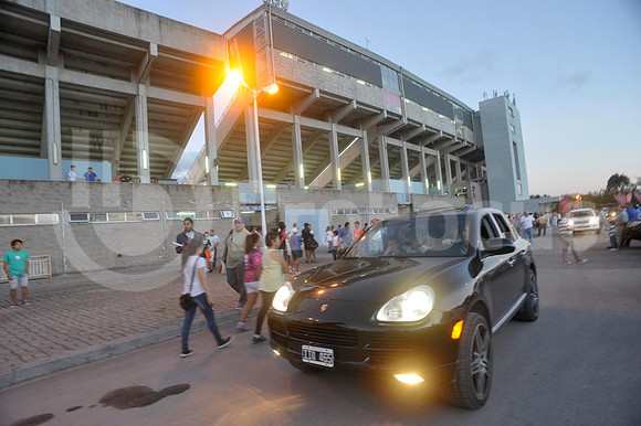 PUMAS EN SALTA