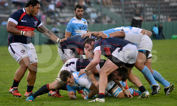 PUMAS EN SALTA