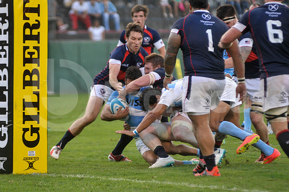 PUMAS EN SALTA