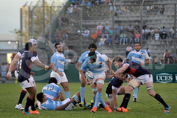 PUMAS EN SALTA