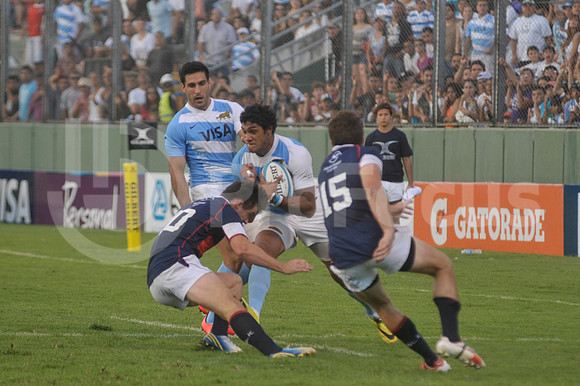 PUMAS EN SALTA