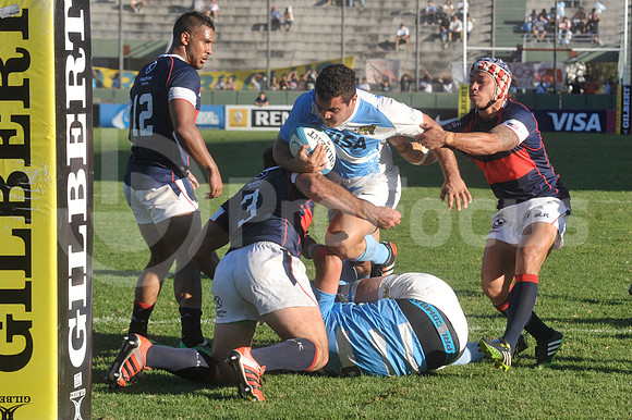 PUMAS EN SALTA