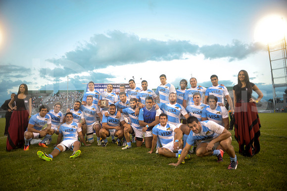 PUMAS EN SALTA