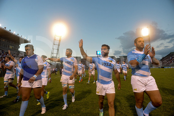 PUMAS EN SALTA
