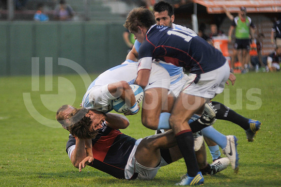 PUMAS EN SALTA