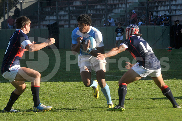 PUMAS EN SALTA