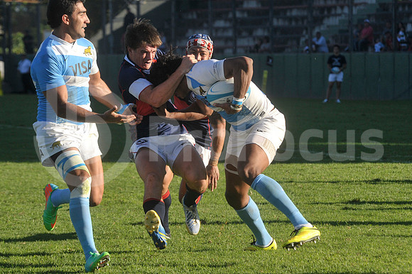 PUMAS EN SALTA