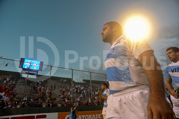 PUMAS EN SALTA