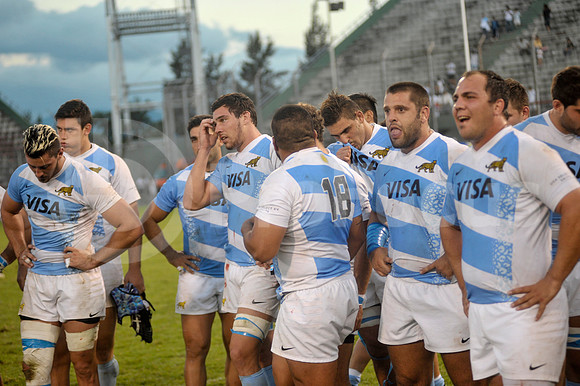 PUMAS EN SALTA