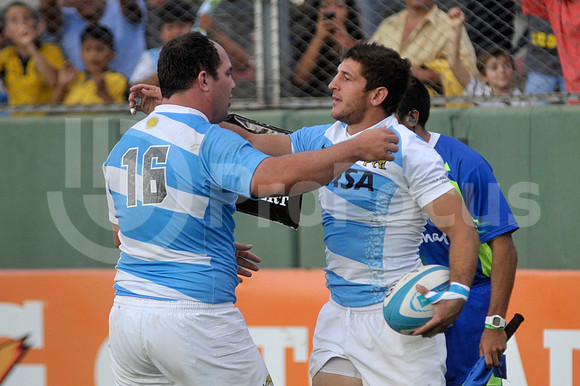 PUMAS EN SALTA