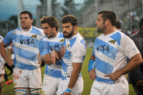 PUMAS EN SALTA