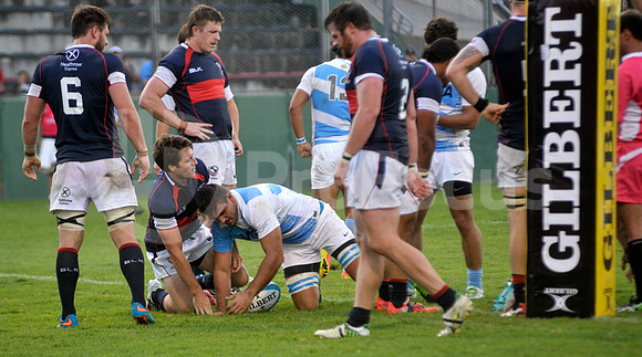 PUMAS EN SALTA
