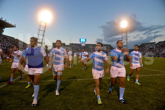 PUMAS EN SALTA