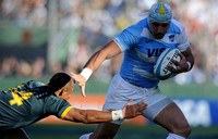 PUMAS VS SUDAFRICA (SALTA)