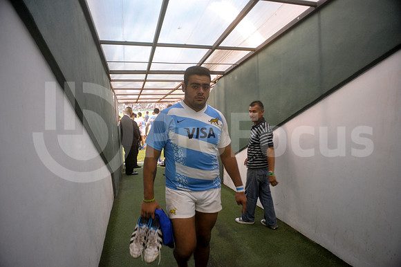 PUMAS EN SALTA