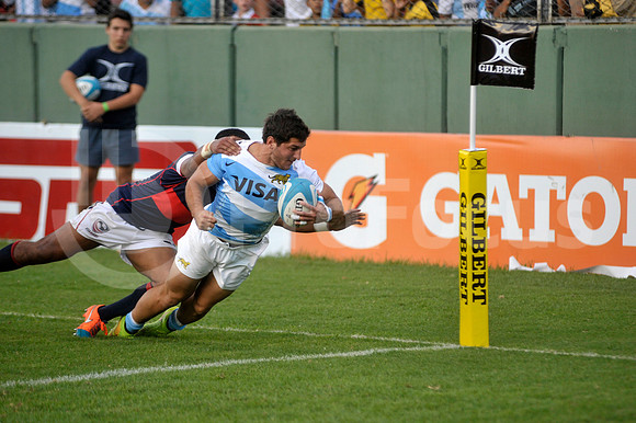 PUMAS EN SALTA