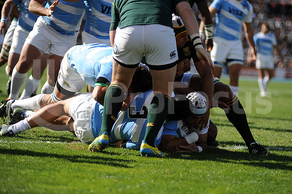 ARGENTINA VS SUDAFRICA (50)