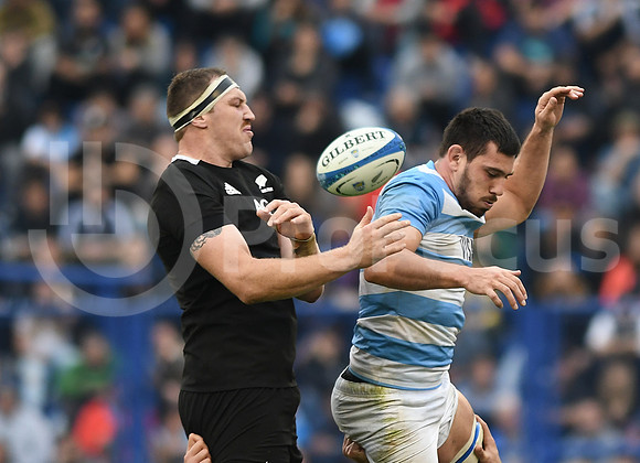 Rugby Championship 2019