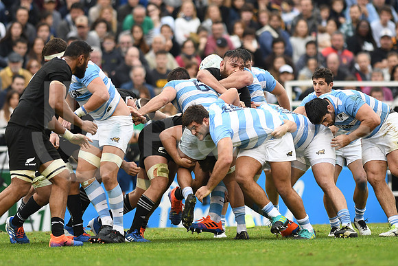 Rugby Championship 2019